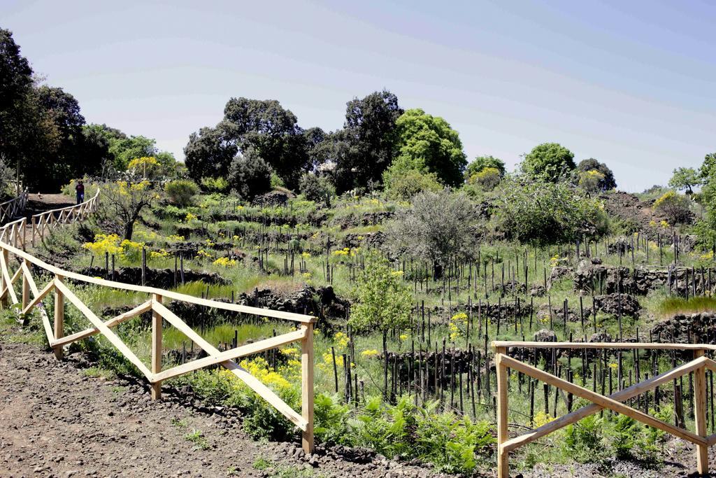 Ecoagriturismo Notti Stellate Etna Mare Mascali Exterior foto